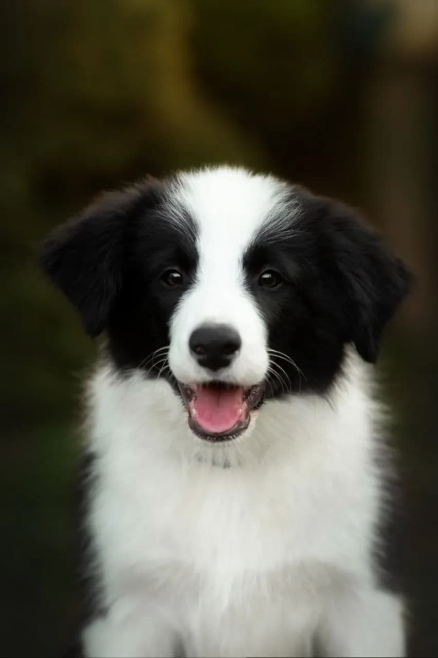 carousel-image-mobile-1