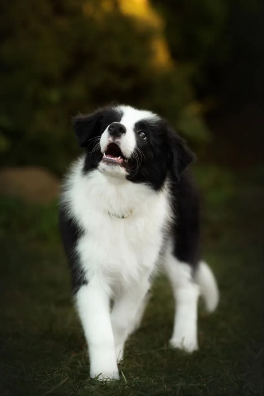 carousel-image-mobile-2