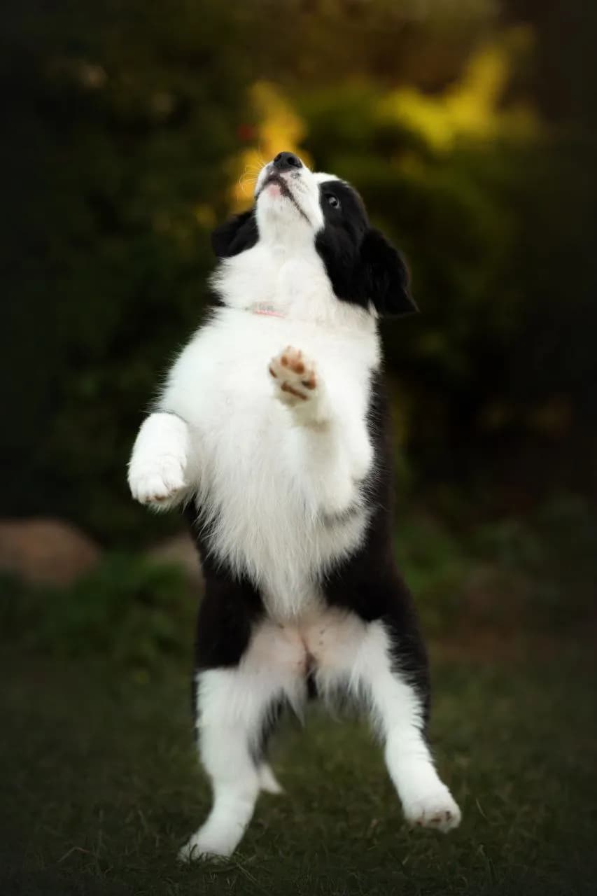 carousel-image-mobile-3