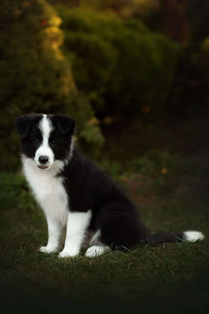 carousel-image-mobile-6