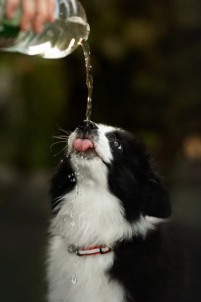 carousel-image-mobile-8