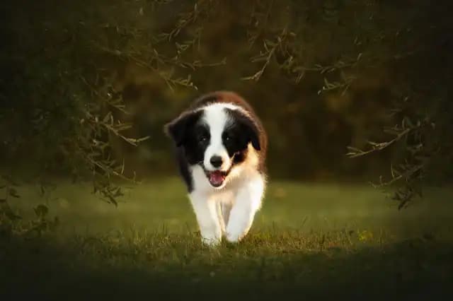 carousel-image-mobile-9