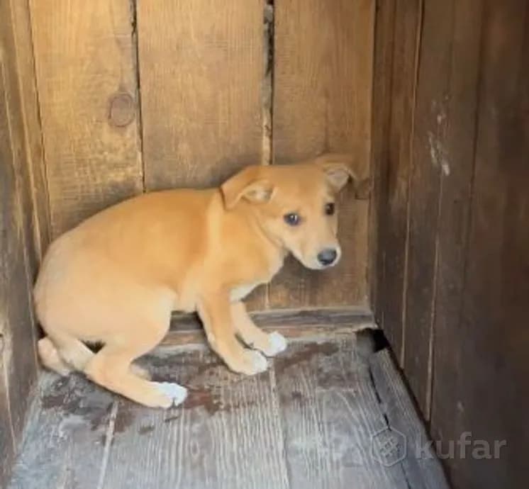 carousel-image-mobile-1