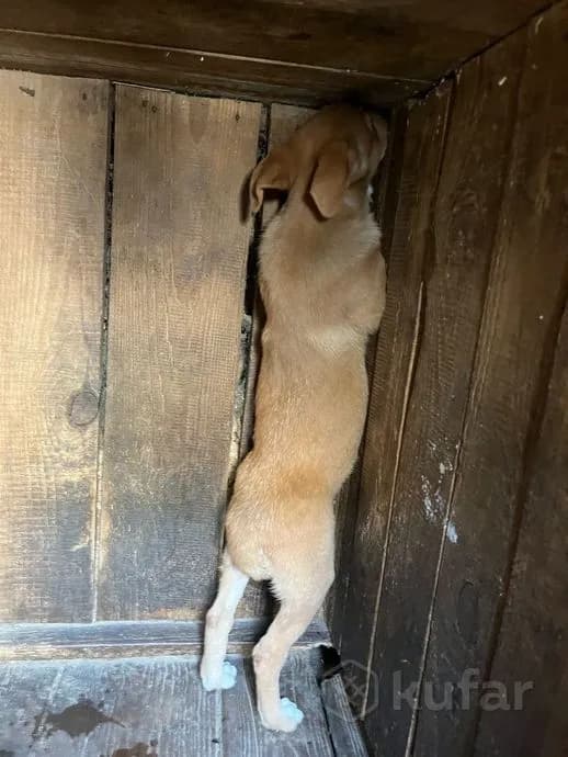 carousel-image-mobile-2