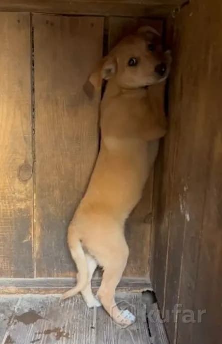 carousel-image-mobile-3