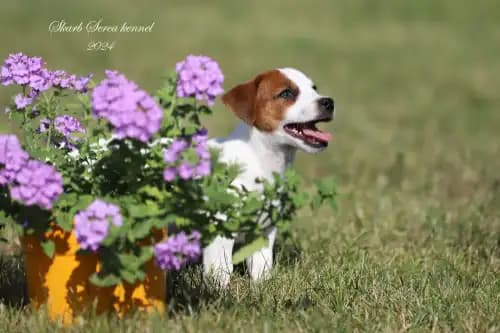 carousel-image-mobile-3