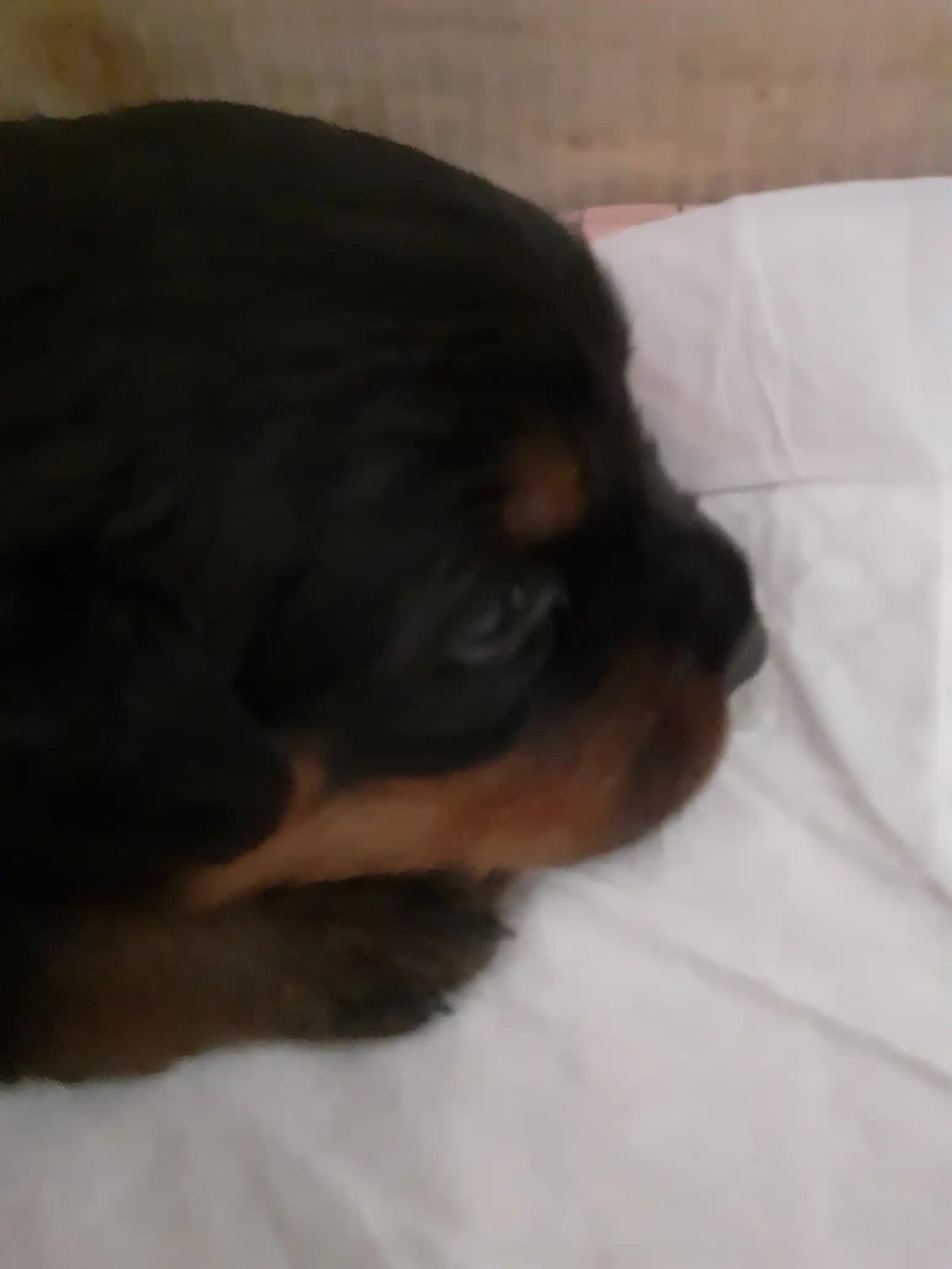 carousel-image-mobile-1