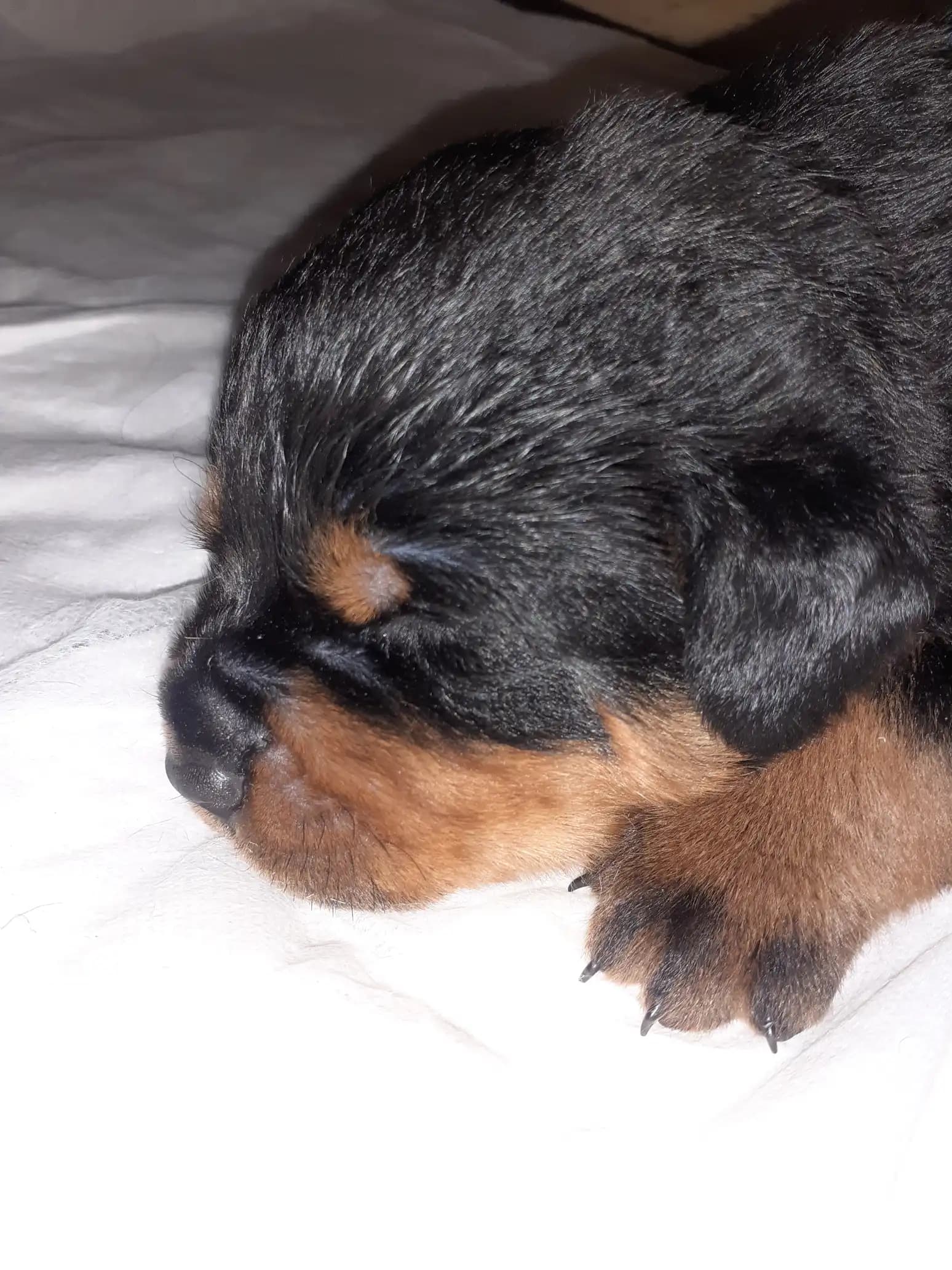 carousel-image-mobile-2