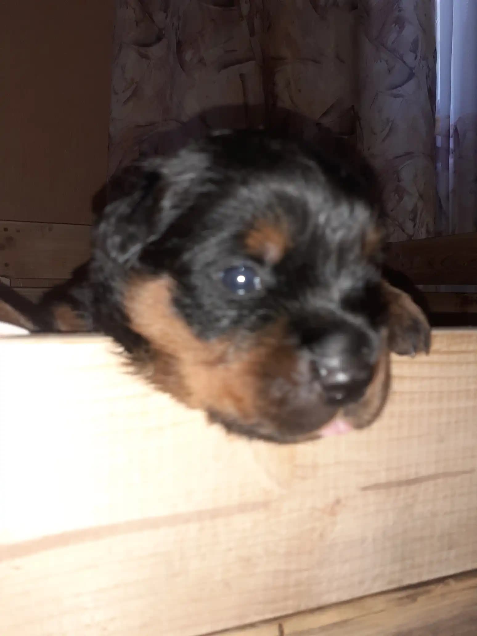 carousel-image-mobile-3