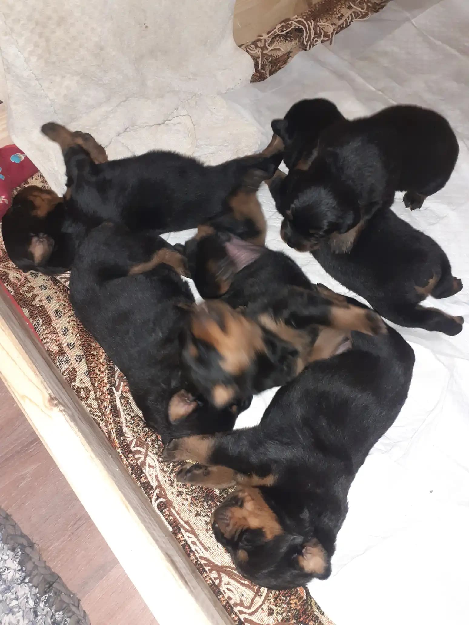 carousel-image-mobile-4