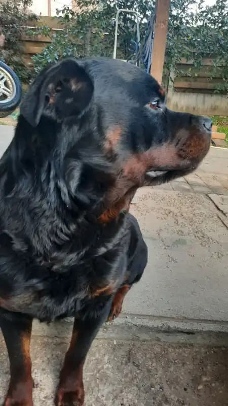 carousel-image-mobile-5