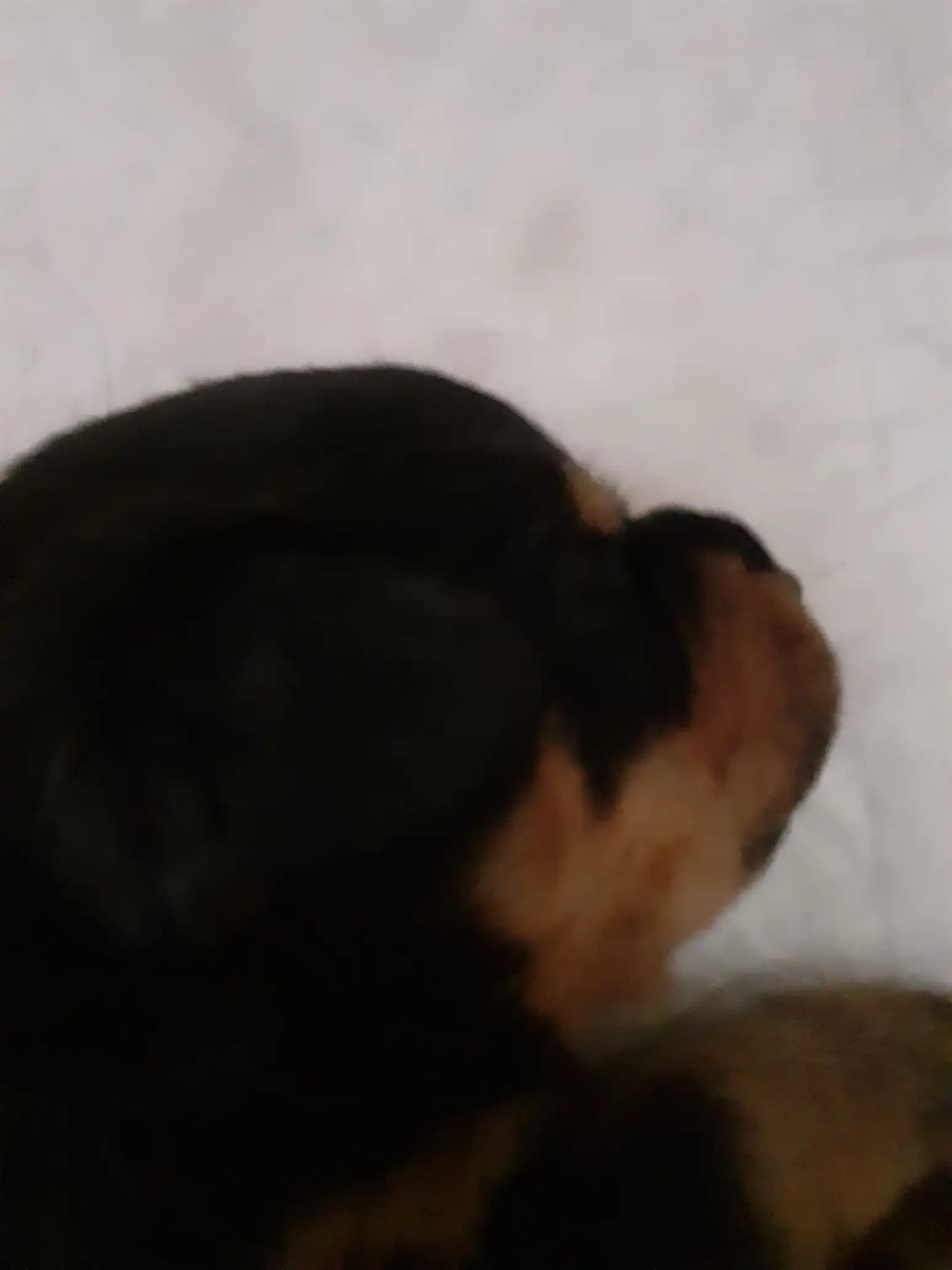 carousel-image-mobile-7