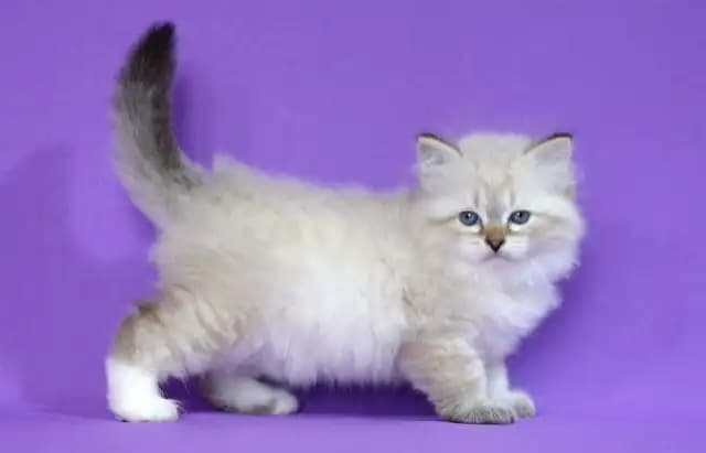 carousel-image-mobile-7