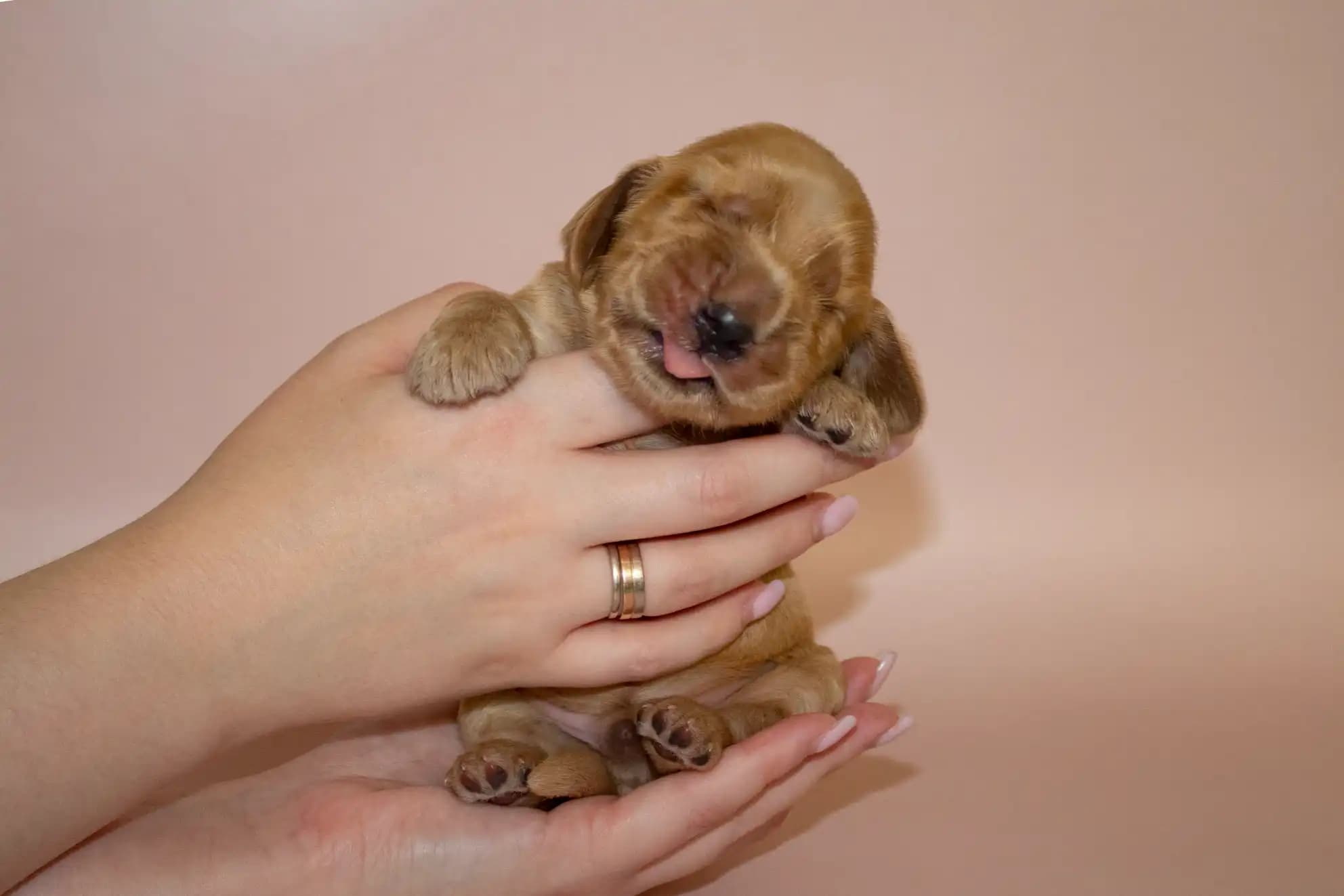 carousel-image-mobile-1