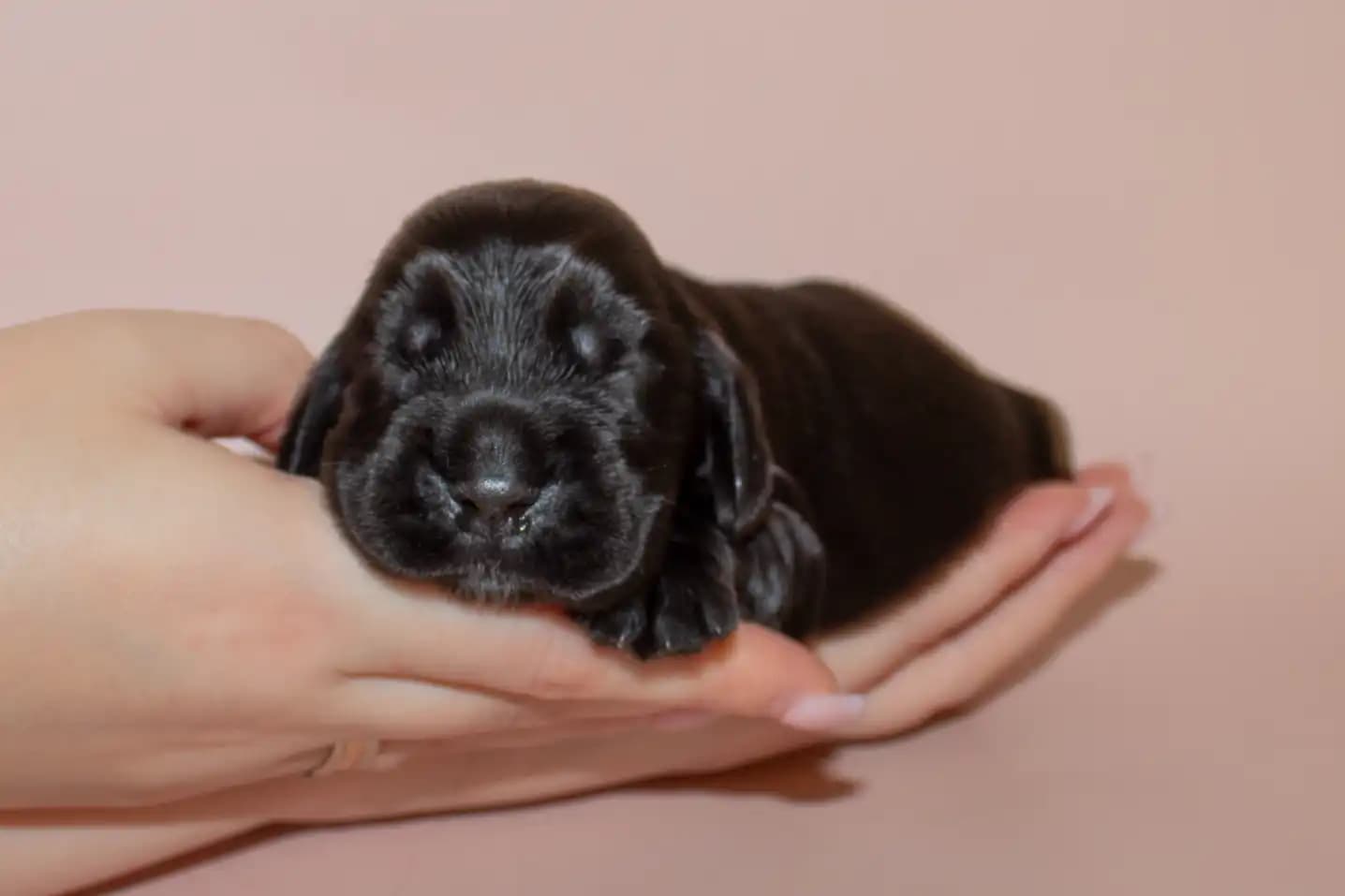 carousel-image-mobile-2