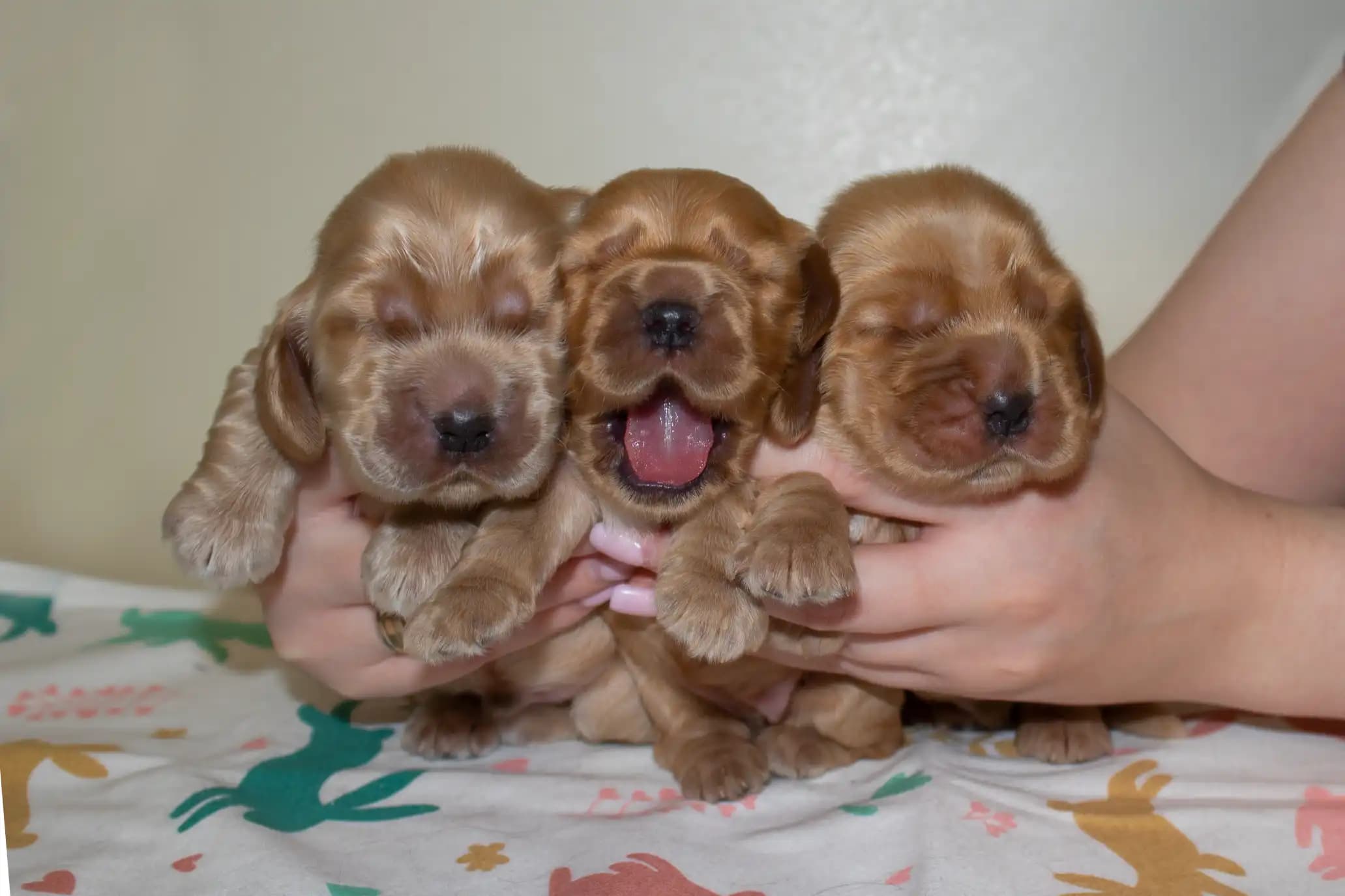 carousel-image-mobile-3