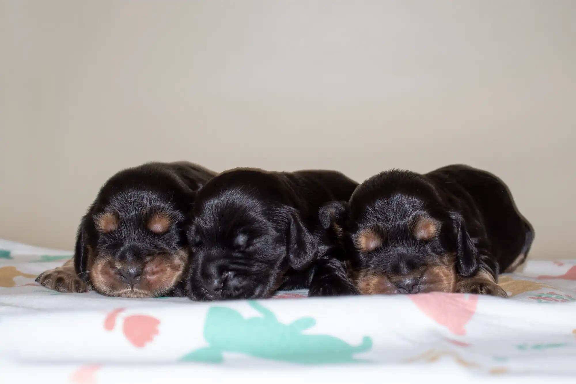 carousel-image-mobile-4