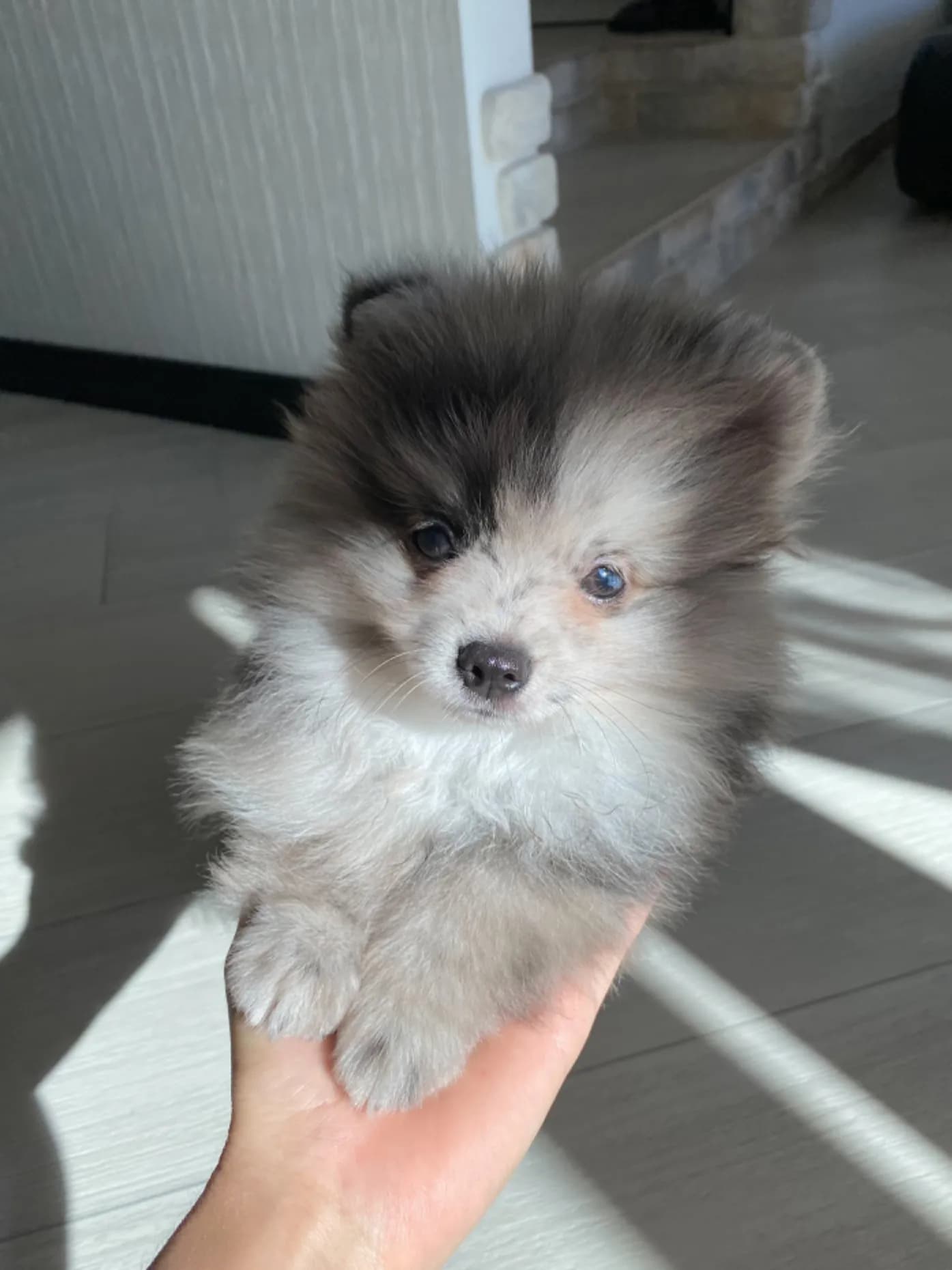 carousel-image-mobile-1