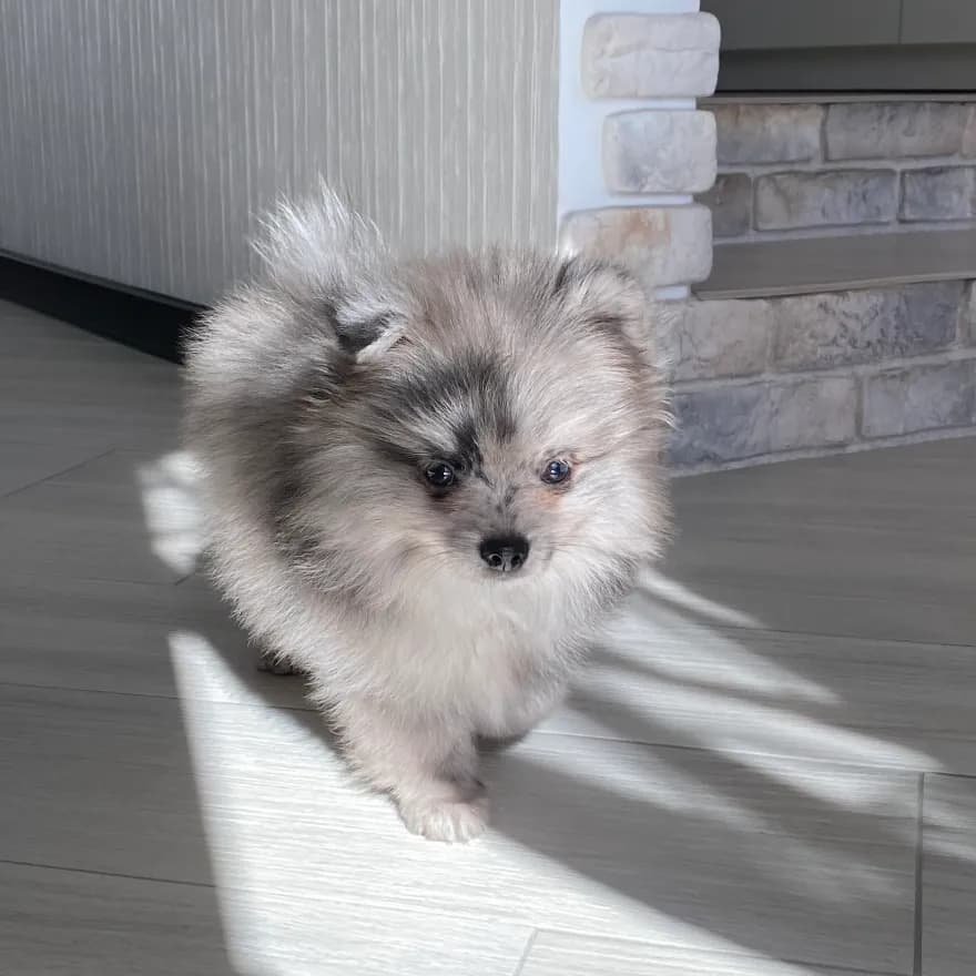 carousel-image-mobile-2