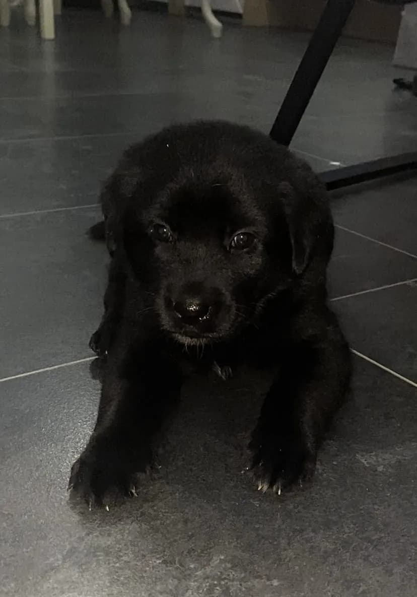 carousel-image-mobile-1