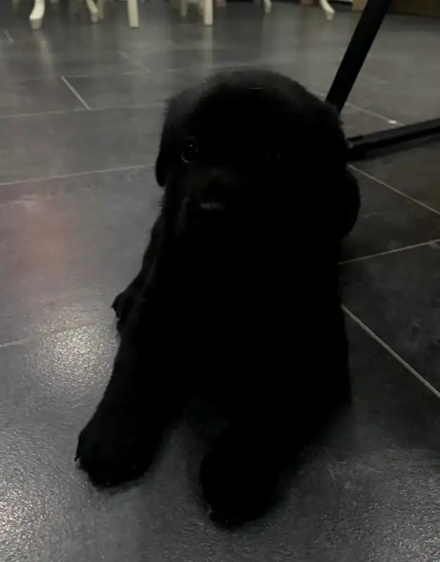 carousel-image-mobile-2