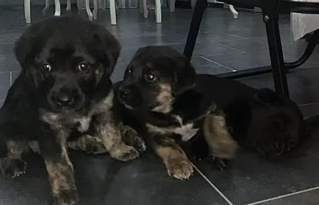 carousel-image-mobile-3