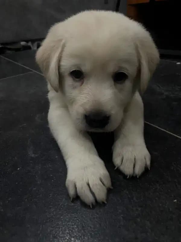 carousel-image-mobile-4