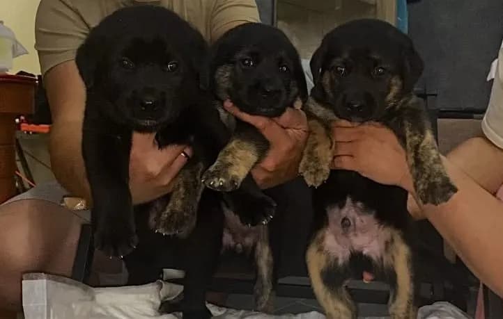 carousel-image-mobile-5