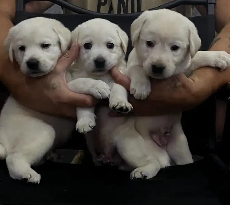 carousel-image-mobile-6