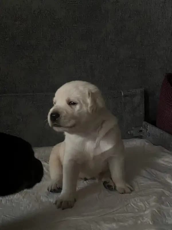 carousel-image-mobile-7