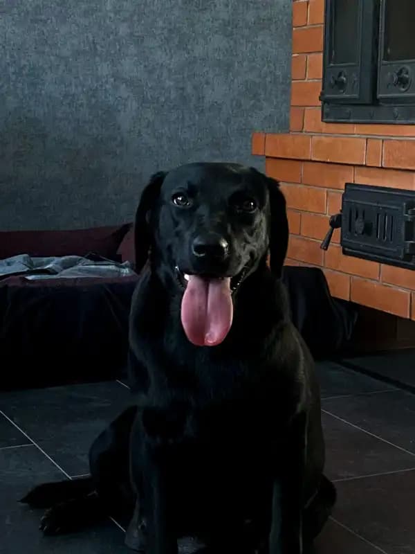 carousel-image-mobile-8