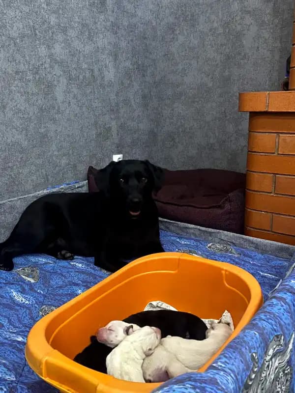 carousel-image-mobile-9