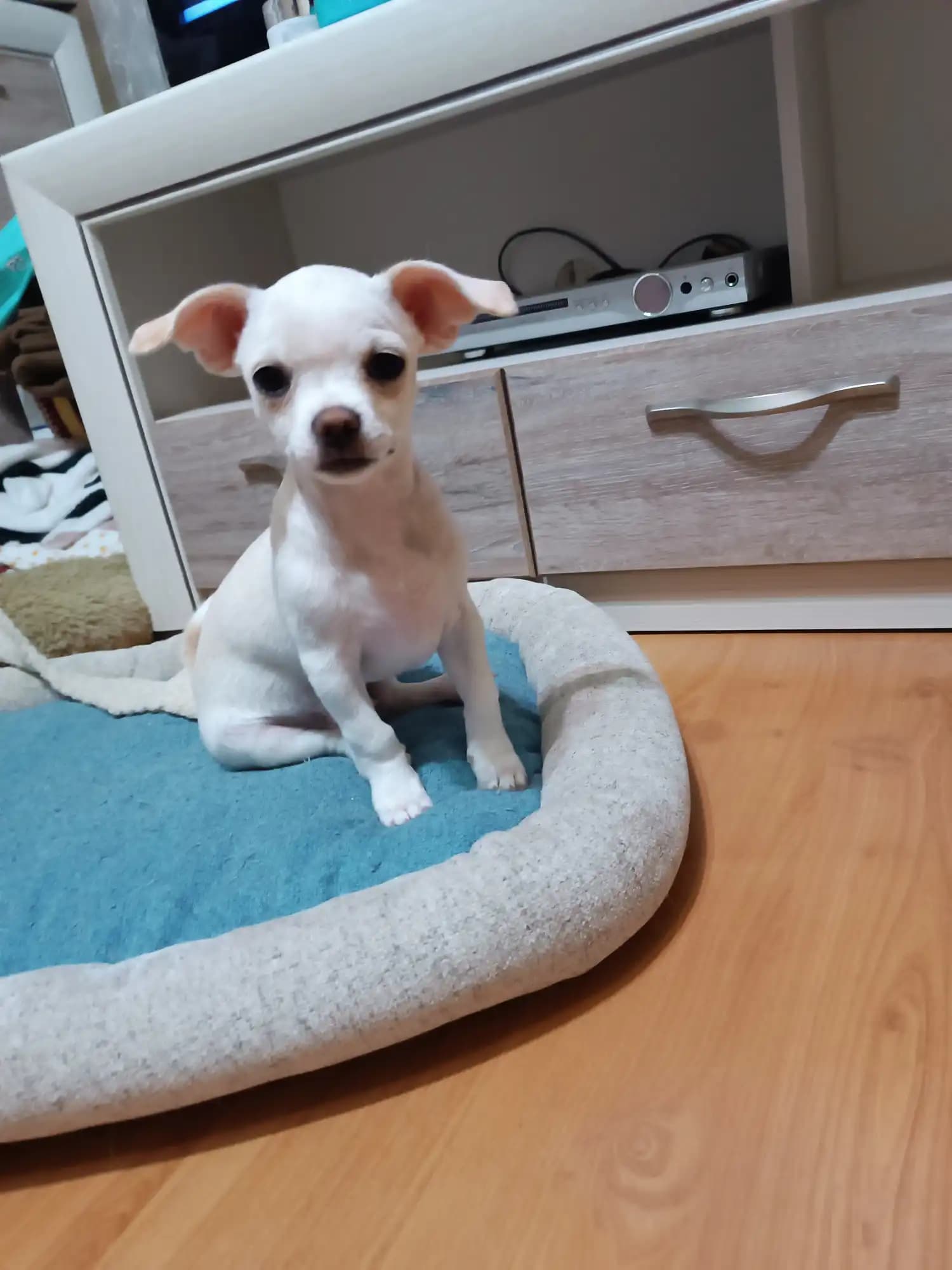 carousel-image-mobile-1