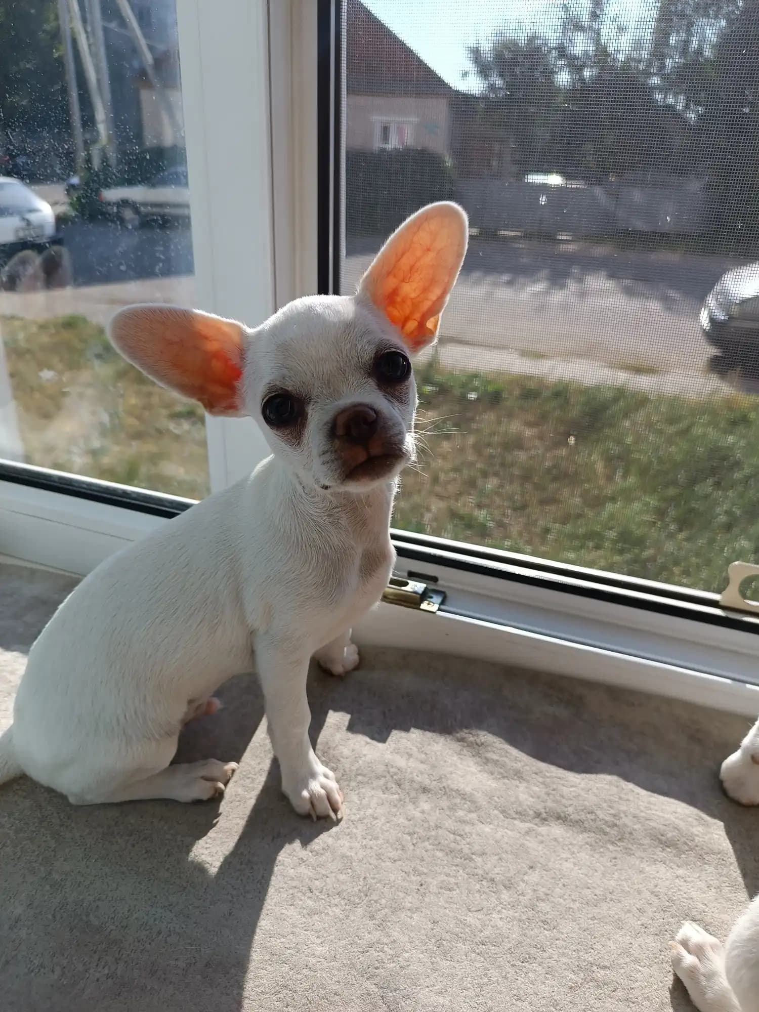 carousel-image-mobile-2