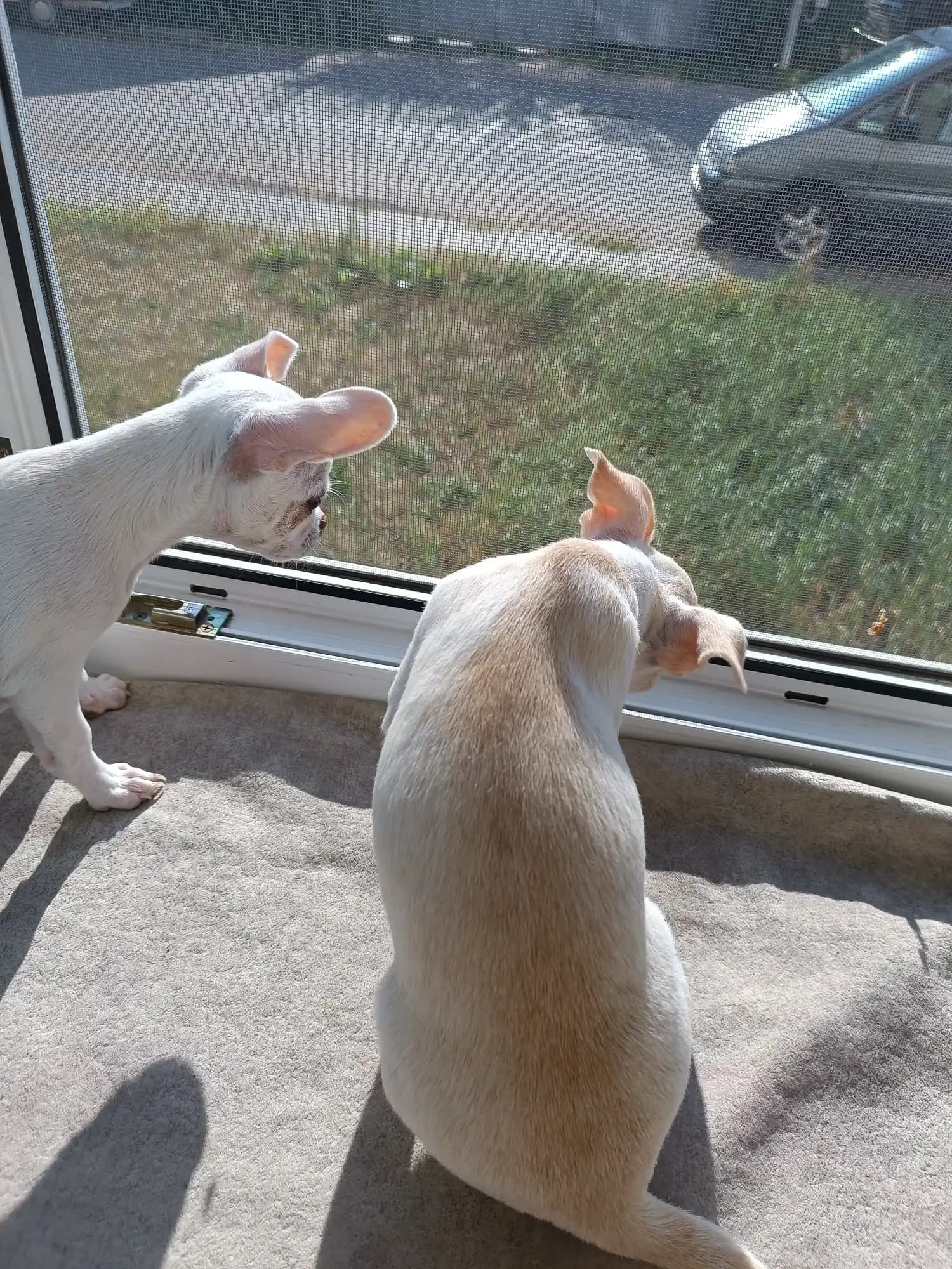 carousel-image-mobile-3