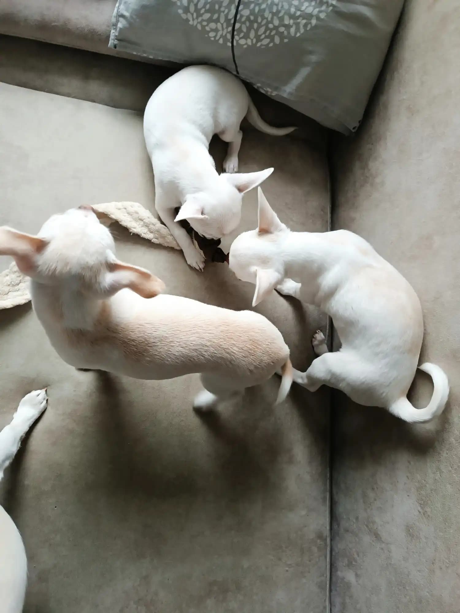 carousel-image-mobile-4