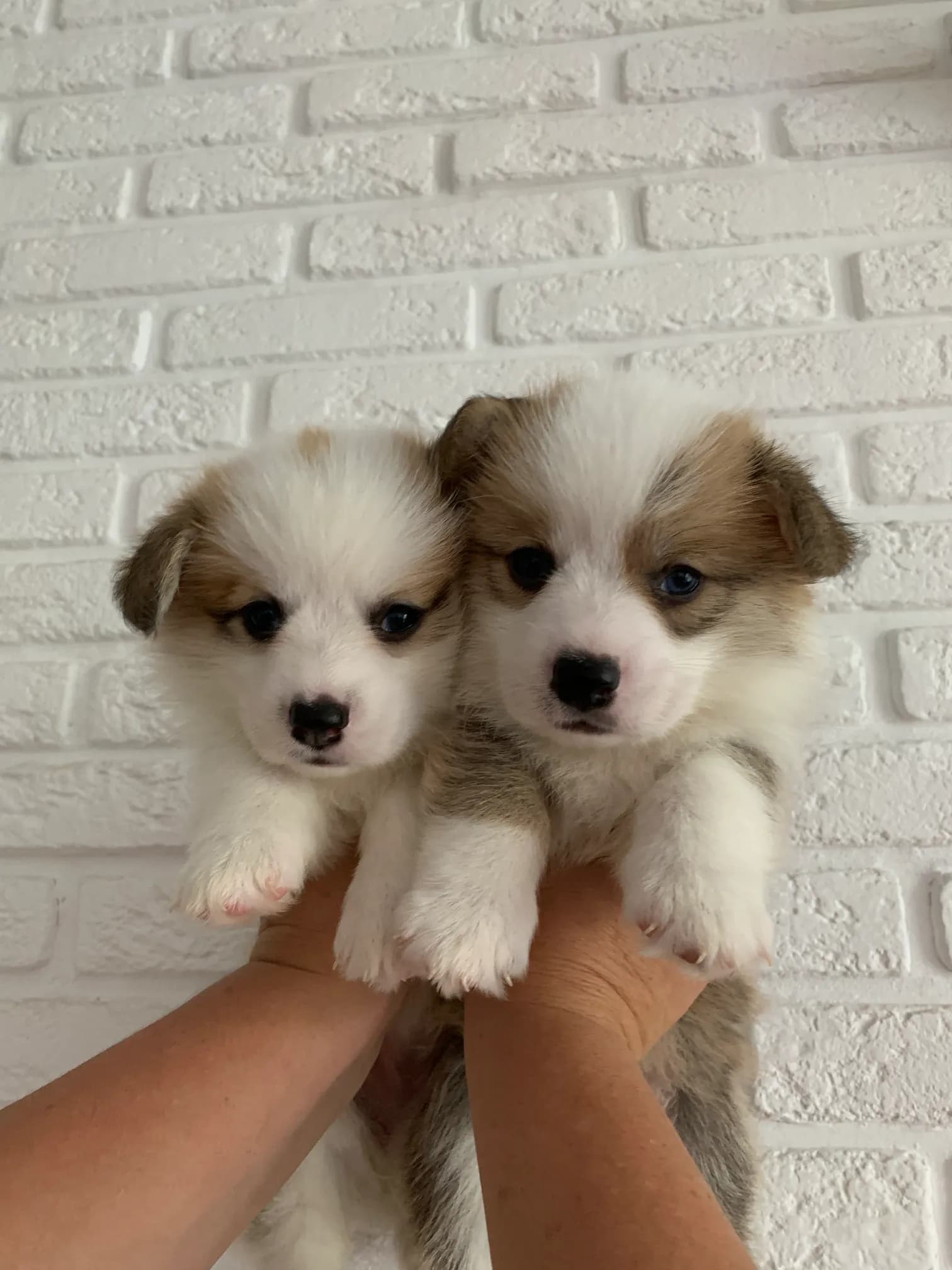 carousel-image-mobile-1