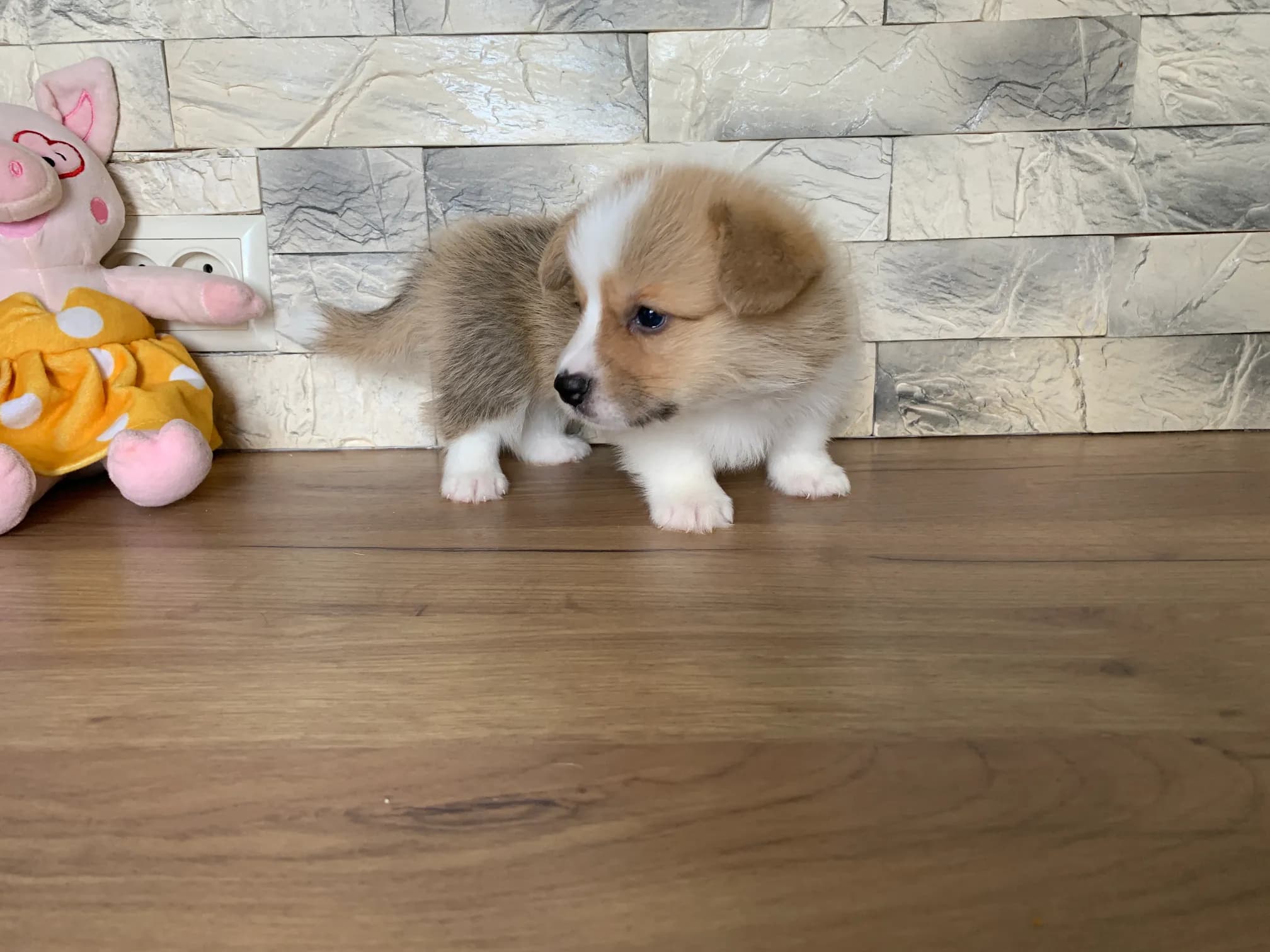 carousel-image-mobile-2