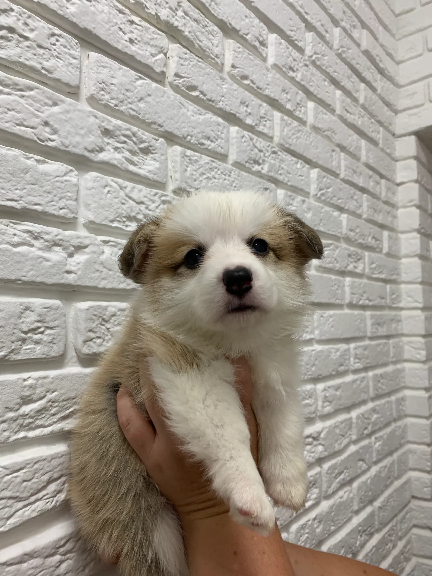 carousel-image-mobile-3