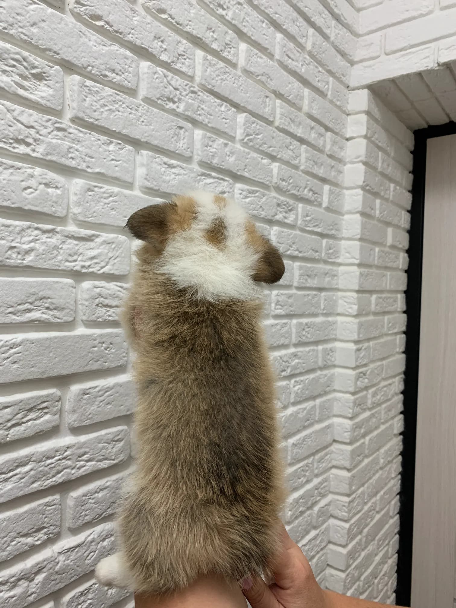 carousel-image-mobile-4