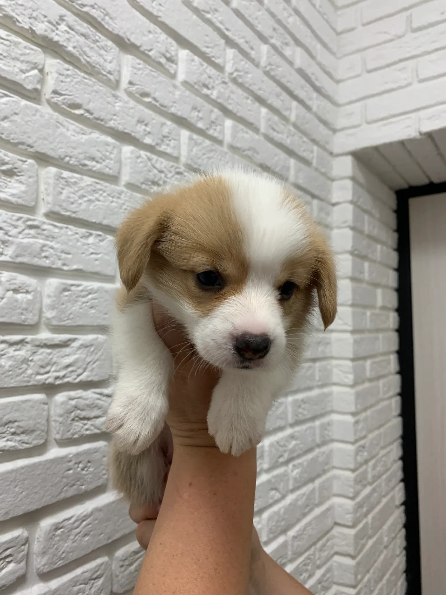 carousel-image-mobile-5