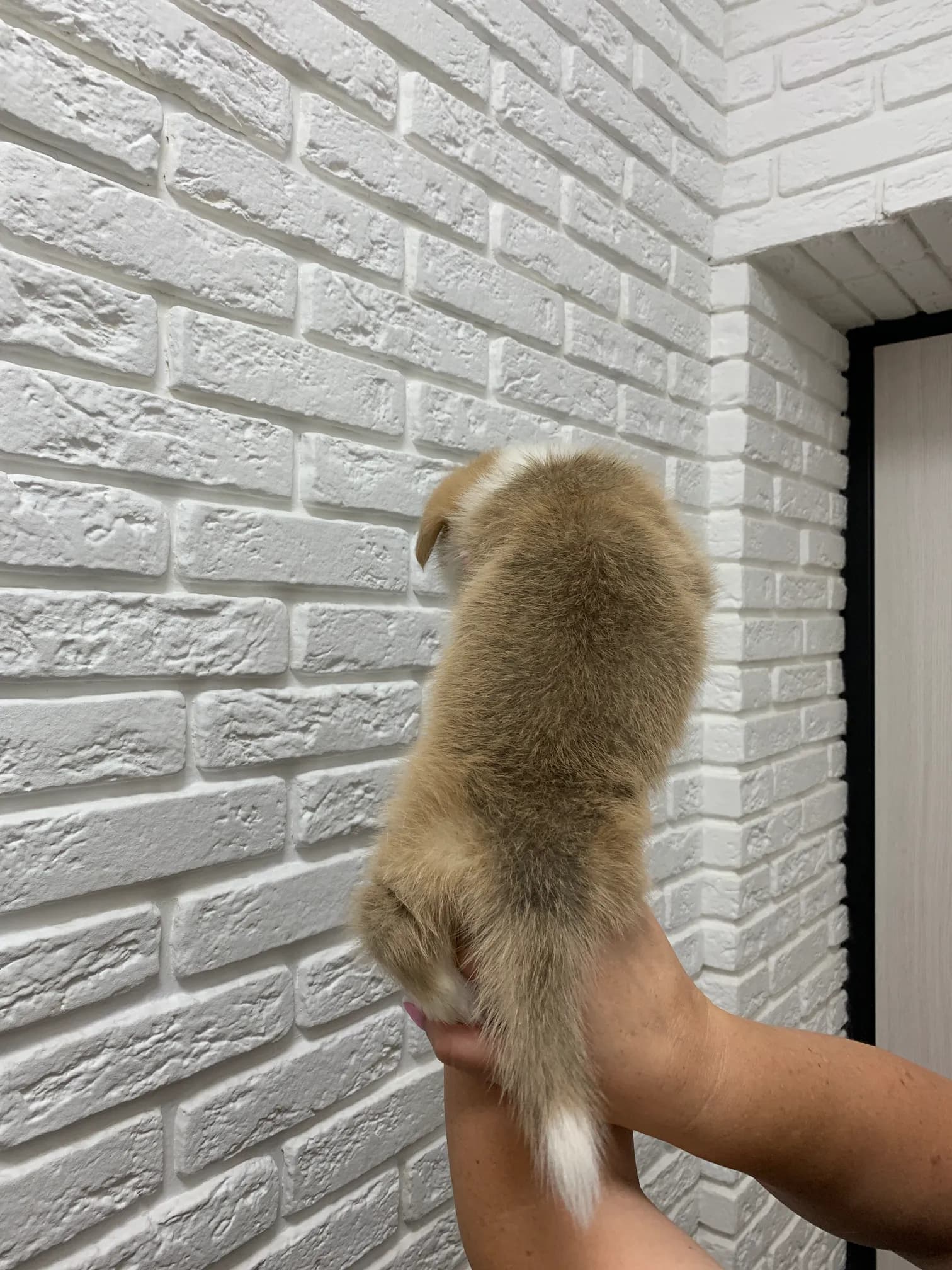 carousel-image-mobile-6