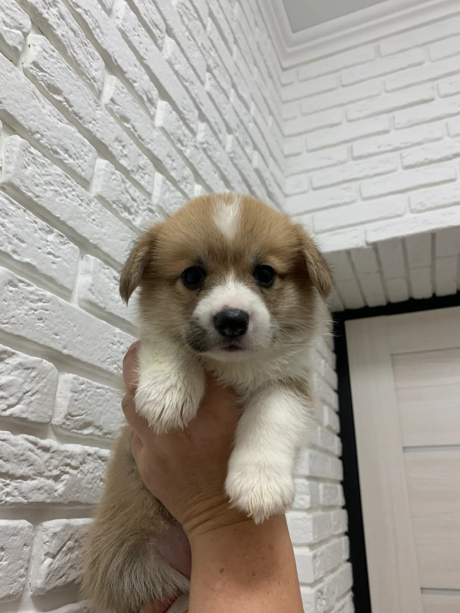 carousel-image-mobile-7