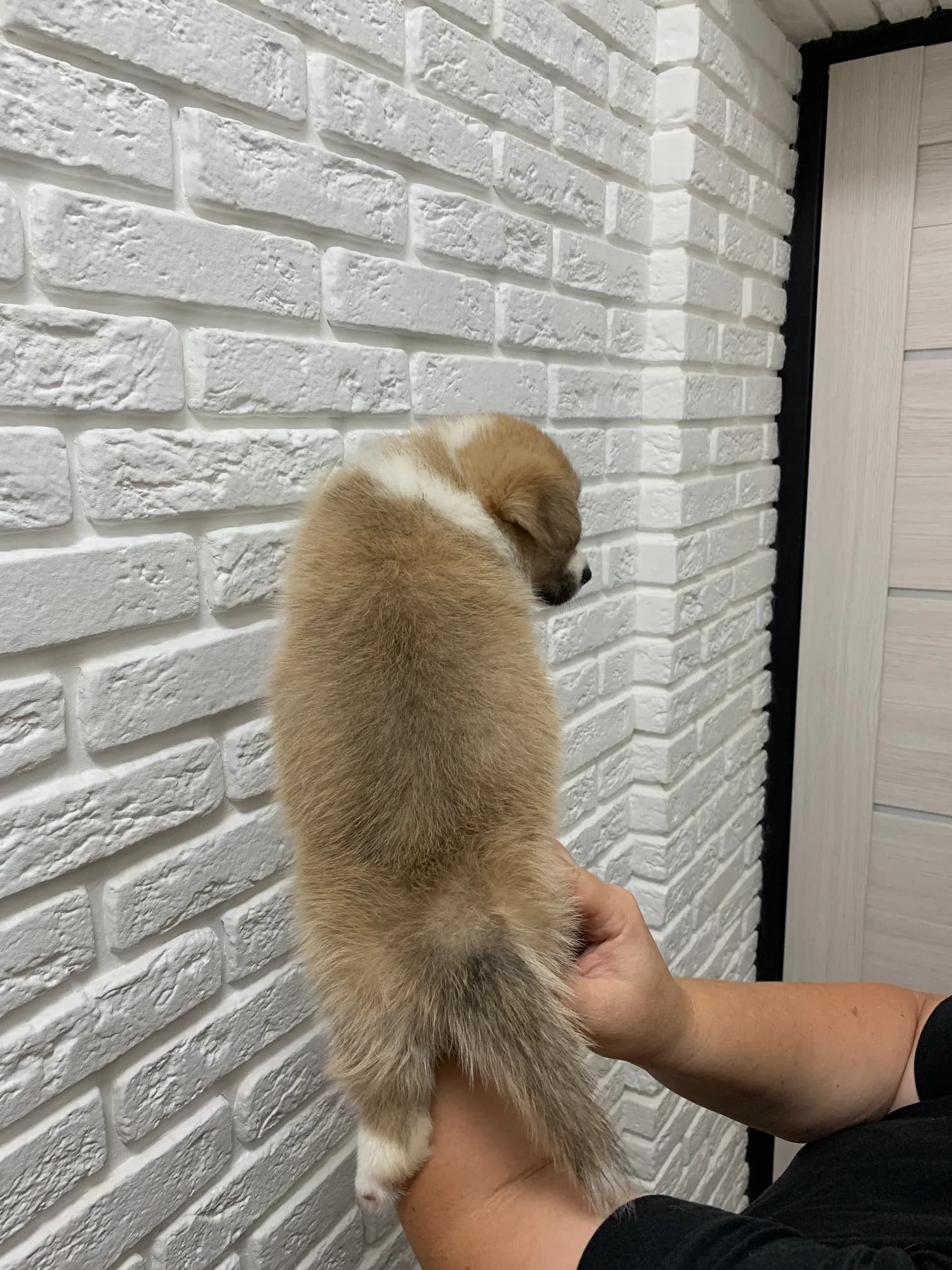 carousel-image-mobile-8