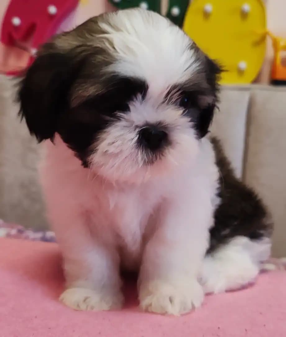 carousel-image-mobile-1