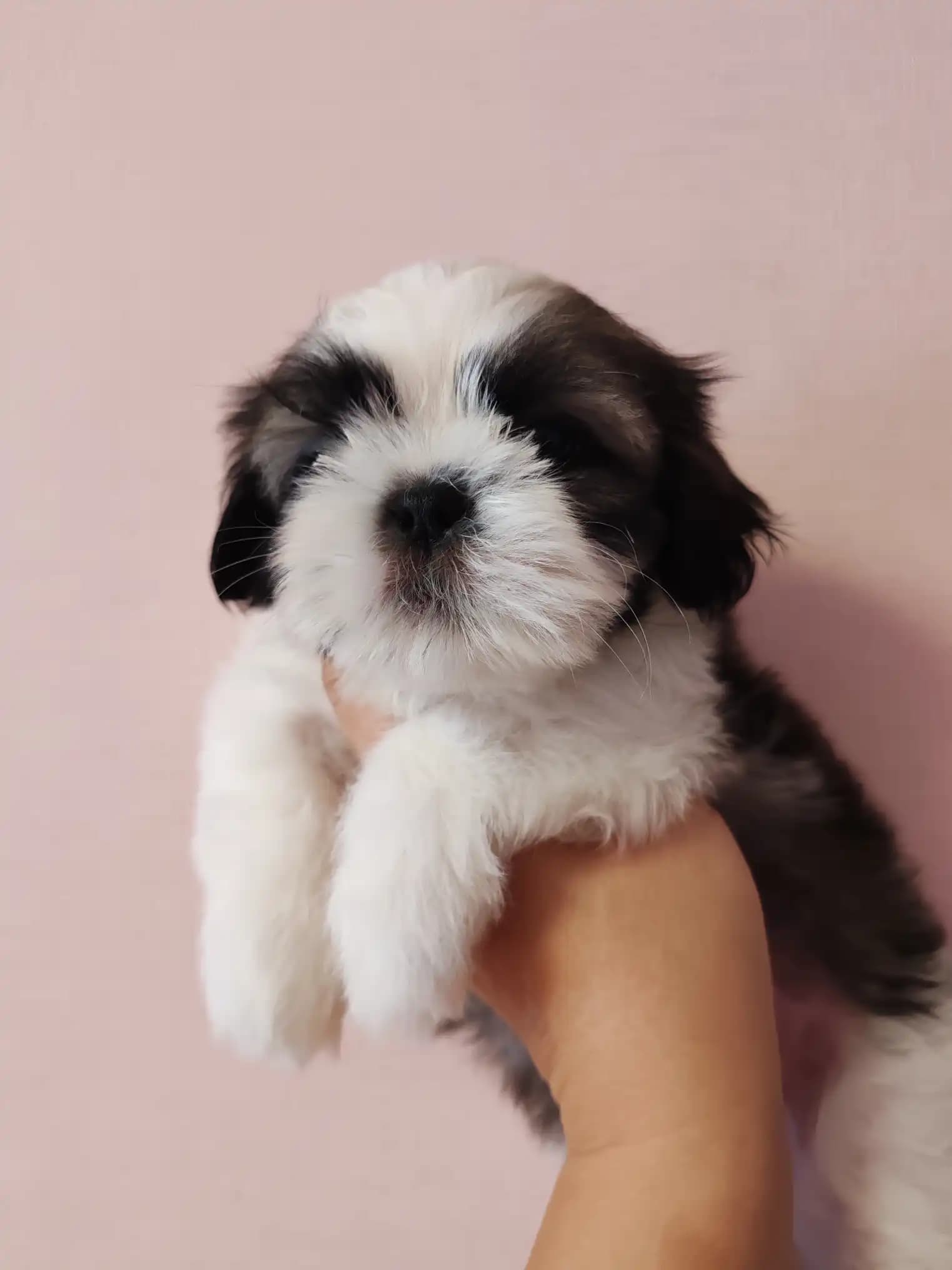 carousel-image-mobile-2