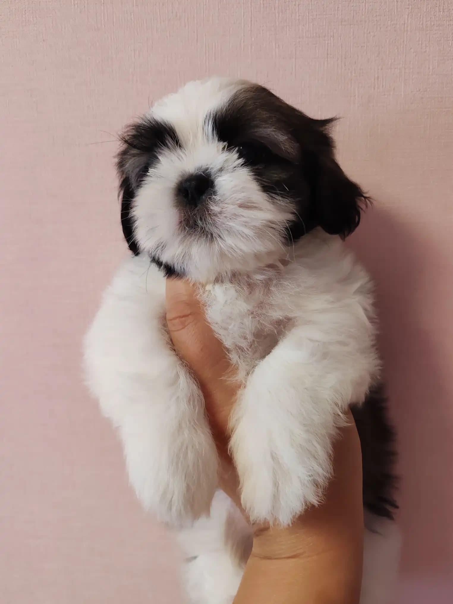 carousel-image-mobile-3