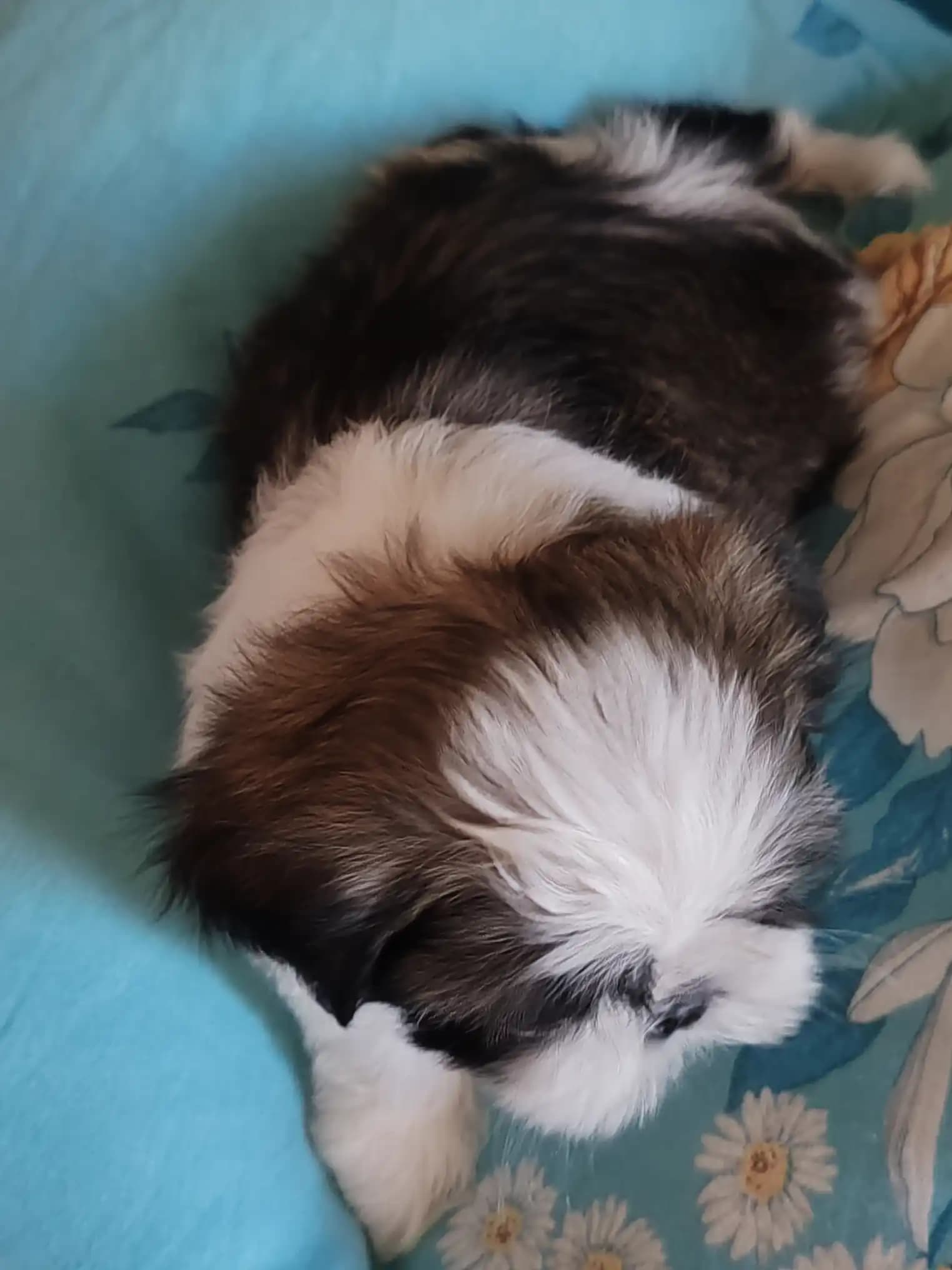 carousel-image-mobile-4