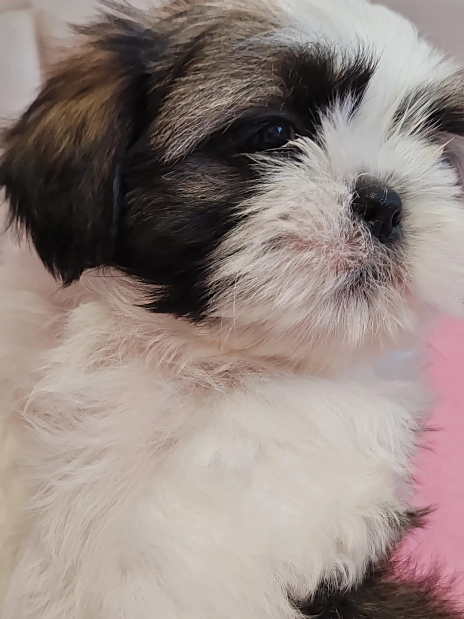 carousel-image-mobile-5