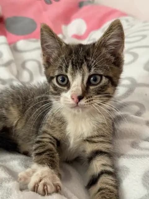 carousel-image-mobile-1